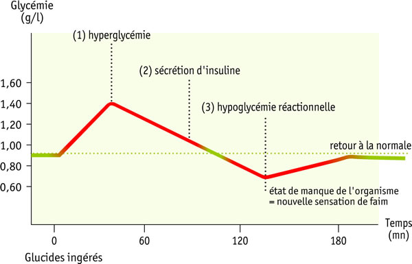 graph glycemie